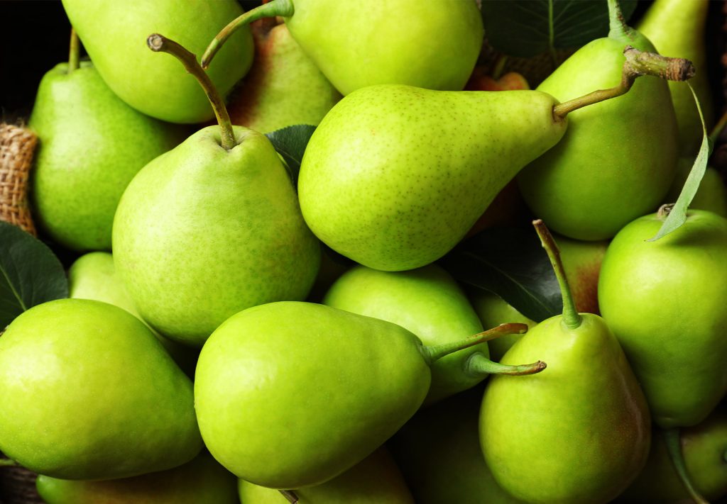 A close-up arrangement of fresh green pears with brown stems and green leaves, displayed on a dark background.